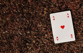 开挂辅助工具“心悦麻将怎么能赢”其实确实有挂