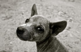 玩家秒懂“微乐麻将小程序万能开挂器”原来确实有挂!