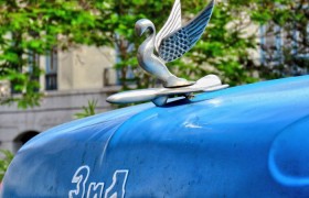 玩家秒懂“新蓝鲸金花怎么开挂”详细开挂玩法