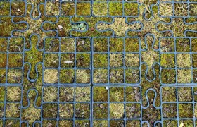 分析实测“和和甘南麻将有挂吗!详细分享装挂步骤