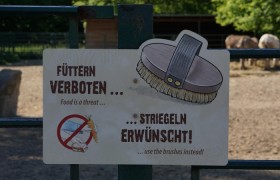 玩家必备“微乐江西麻将怎样免费开挂”开挂(透视)辅助教程