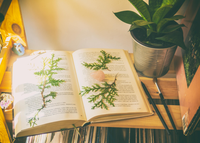 推荐一款”手机打麻将想买个挂”详细开挂玩法