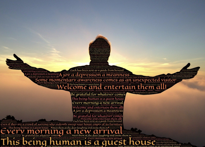 推荐一款”八闽状元郎有挂吗”原来确实有挂!