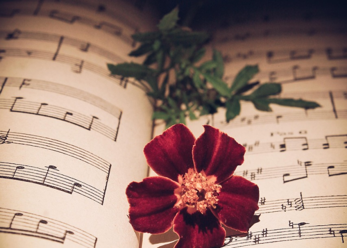 推荐一款”手机麻将怎样打才能赢得多”(曝光透视必备猫腻) 推荐一款”手机麻将怎样打才能赢得多”(曝光透视必备猫腻)