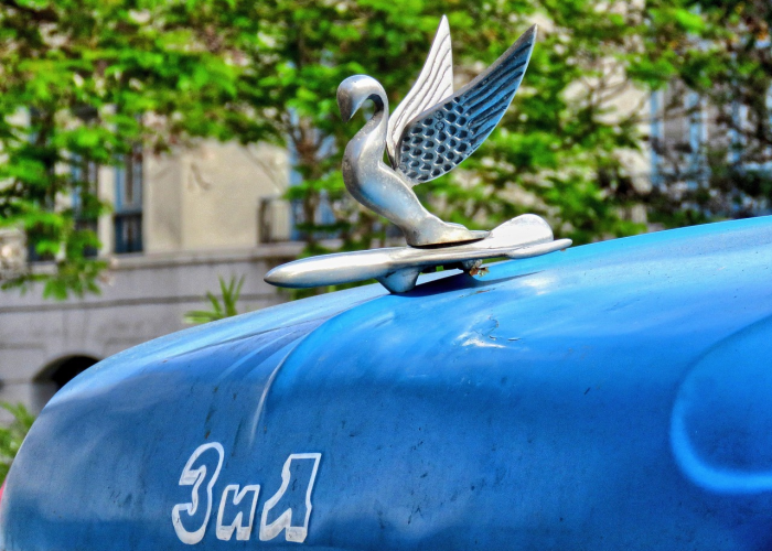 玩家秒懂“新蓝鲸开挂”详细开挂玩法 玩家秒懂“新蓝鲸开挂”详细开挂玩法