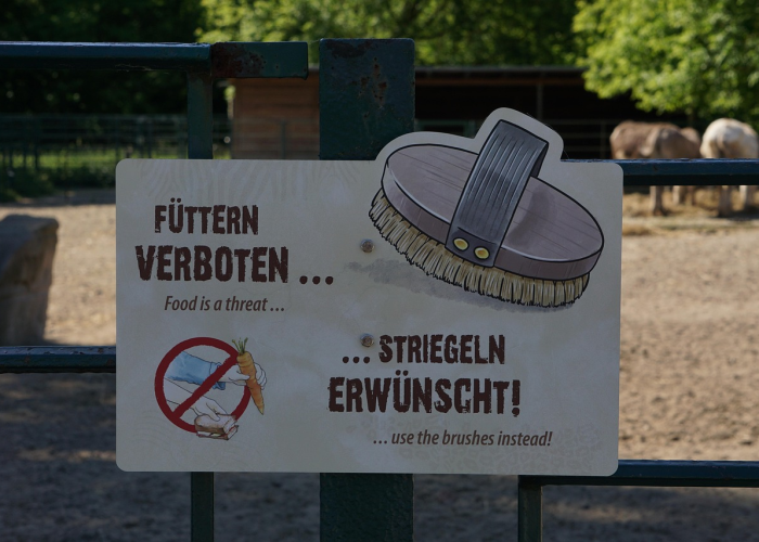 玩家必备“微乐江西麻将小程序有挂吗安全吗”开挂(透视)辅助教程