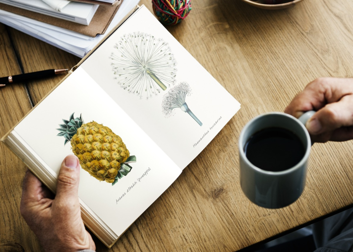 开挂辅助工具“腾讯麻将有没有挂贴吧的群!分享用挂教程